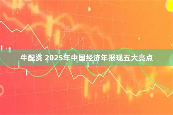 牛配资 2025年中国经济年报现五大亮点