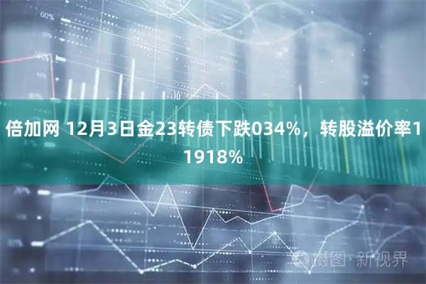 倍加网 12月3日金23转债下跌034%，转股溢价率11918%